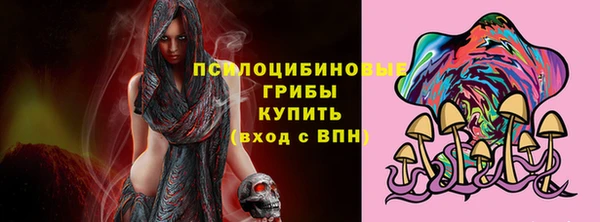 спайс Кулебаки