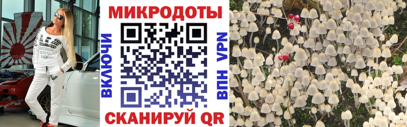 Псилоцибиновые грибы мицелий  магазин  наркотиков  Любим 